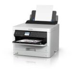 Epson WorkForce WF-C579R Black XXL Ink Supply Unit (C13T01D100)